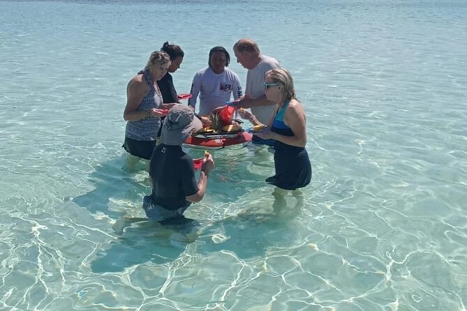 Cozumel Private 4-hour Boat Tour to El Cielo with Snorkeling - The boat experience: what the private setup really buys you