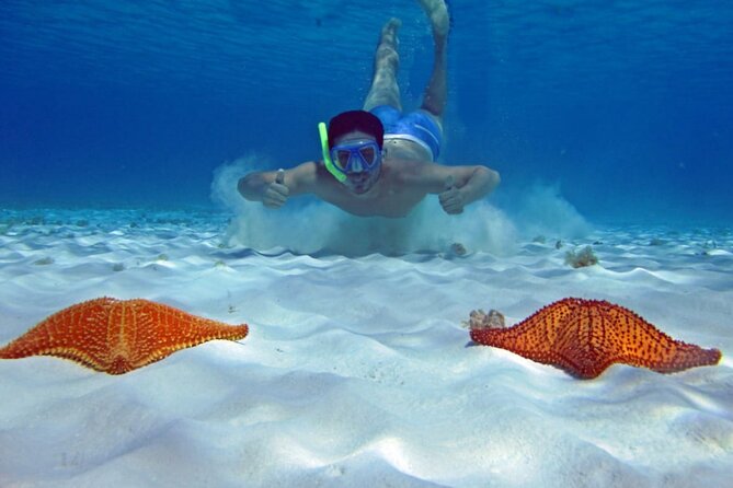 Cozumel Private 4-hour Boat Tour to El Cielo with Snorkeling - Palancar Reef and the Colombia shallow stop (your first snorkeling block)