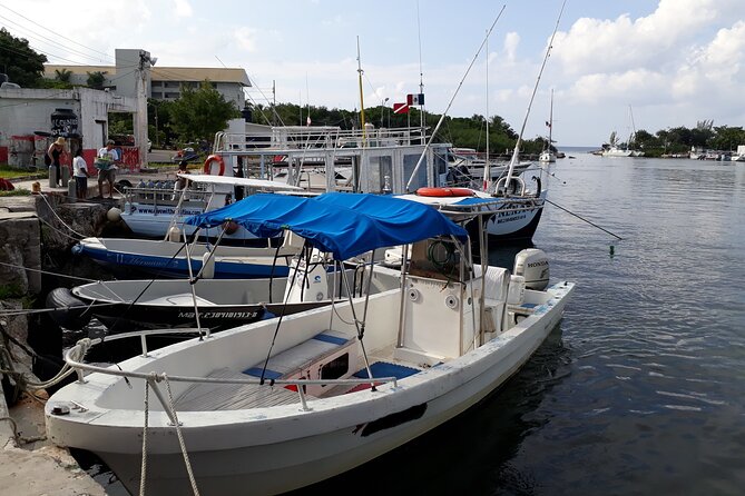Cozumel Private 4-Hour Boat Tour to Passion Island - Snorkel guide support: why the crew can make or break your day