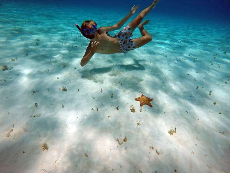 Cozumel: Private Charter Boat and Snorkel Day Trip - Snorkeling tips that fit this exact itinerary