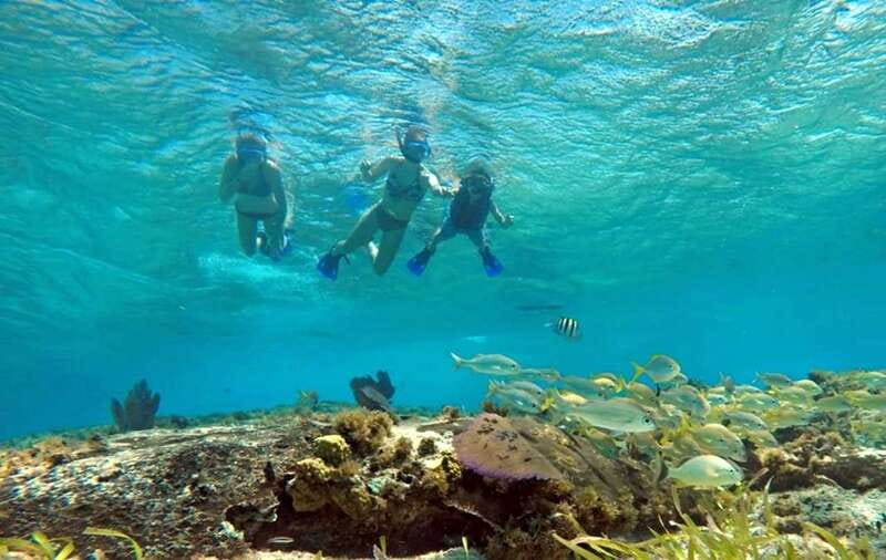 Cozumel: Private Charter Boat and Snorkel Day Trip - Price and who it makes sense for