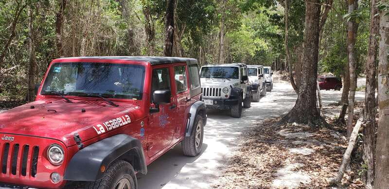 Cozumel: Private Jeep Tour Shore Excursion - Key Highlights You’ll Care About