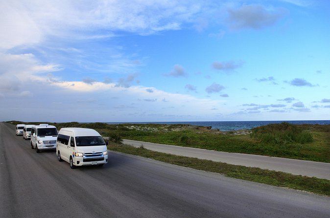 Cozumel Private Shuttle For Groups to Top Beach Clubs - The Day’s Flow: From First Meeting to Return-to-Port