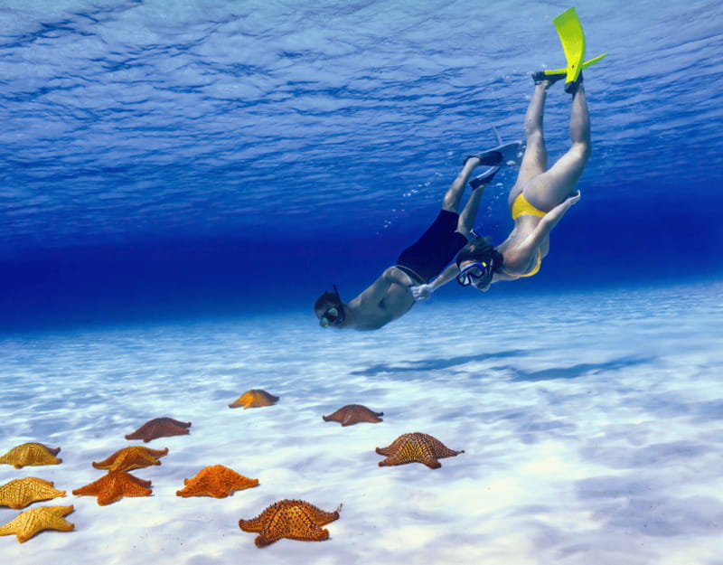 Cozumel: Private Snorkel Tour El Cielo + 3 Reefs Food Drinks - Key Things That Make This Tour Worth Your Time