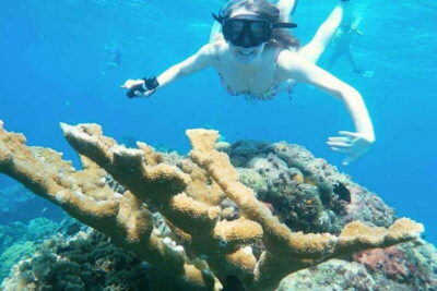 Cozumel: Private Snorkel Tour El Cielo + 3 Reefs Food Drinks - Private Boat Day in Cozumel: What the 3 Hours Feels Like