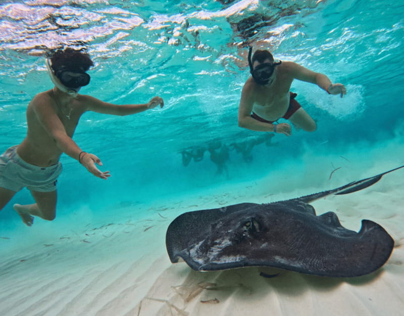 Cozumel: Private Snorkel Tour El Cielo + 3 Reefs Food Drinks - What to Bring So You Don’t Regret It Later