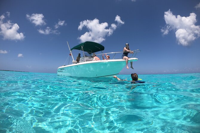 Cozumel Private Snorkeling and Charter Experience - Why this private charter is such a good value in Cozumel