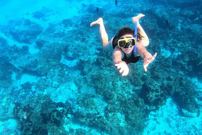 Cozumel Private Snorkeling and Charter Experience - Stop 2: Columbia Reef and why the second site matters