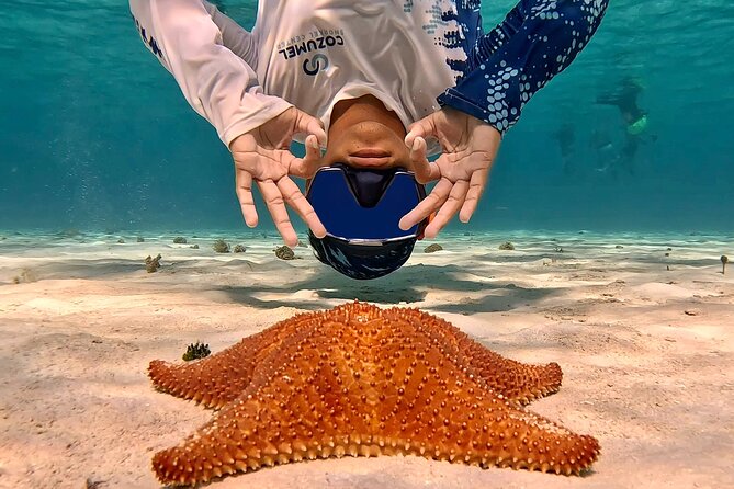 Cozumel Private Snorkeling and Charter Experience - Food and drinks: more than a snack break