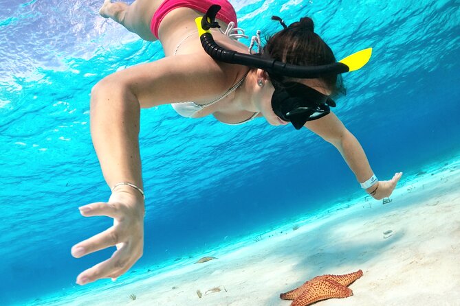 Cozumel Private Snorkeling and Charter Experience - Getting to the boat: Caleta Harbor, timing, and pickup options