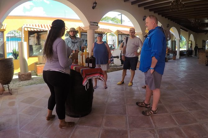 Cozumel Private Van Service with Snorkel Tour - Customization: what you can control and what you must confirm