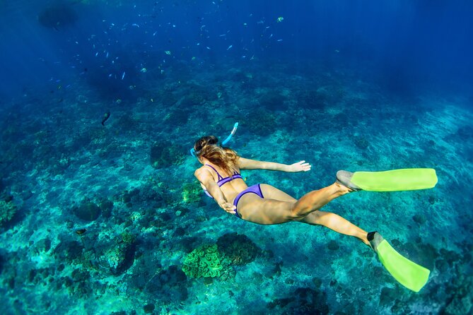 Cozumel Reef Snorkeling Tour - The Speedboat Ride: Views of Quintana Roo and Real-World Conditions
