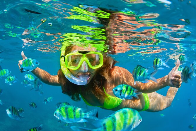 Cozumel Reef Snorkeling Tour - San Miguel de Cozumel: One Hour in Town After the Water