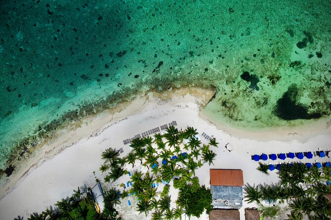 Cozumel: Shore Excursions for Royal Caribbean Cruise Passengers - How the 5-Hour Flow Works on Shore Day