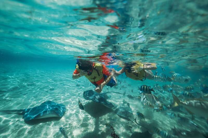 Cozumel: Snorkel and Swim with Stingrays - Key things I’d zero in on before you go