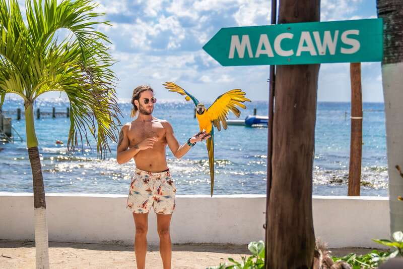 Cozumel: Snorkel and Swim with Stingrays - Who this suits best (and who should skip it)