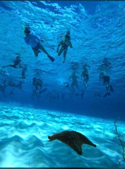Cozumel: snorkeling on reefs + visit to "El Cielo" - The money math: $14-ish pricing, 850 pesos total, and what the 600 pesos covers