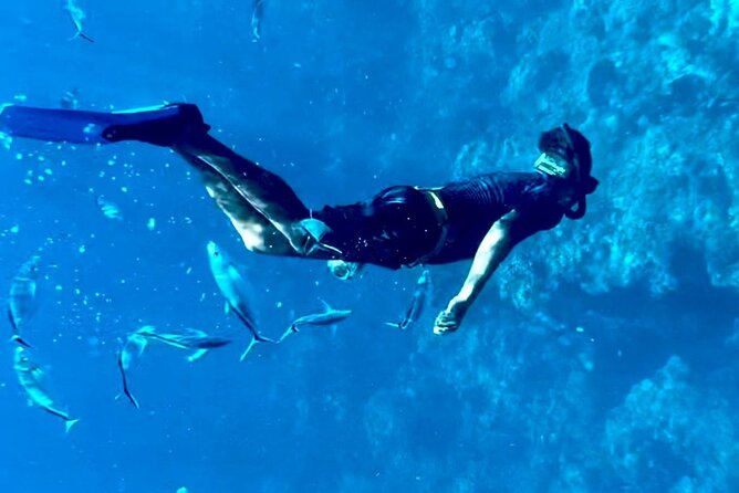 Cozumel Snorkeling Reef Experience with Ceviche and Beers - What you eat after snorkeling: fish ceviche, totopos, and beer