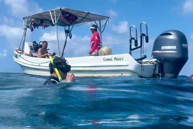 Cozumel Snorkeling Reef Experience with Ceviche and Beers - Price and value: what $129 buys you on a private reef day