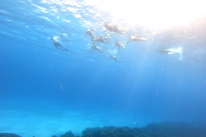 Cozumel Snorkeling Reef Experience with Ceviche and Beers - Weather backup: what happens if El Cielo is closed