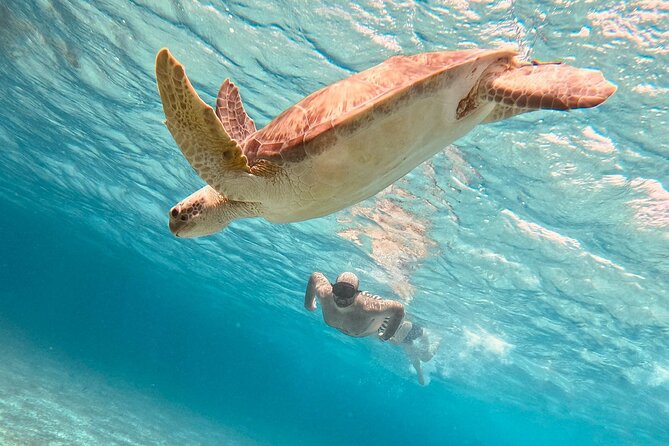 Cozumel: Snorkeling to El Cielo & Cielito with drinks & Snack - Key highlights worth knowing