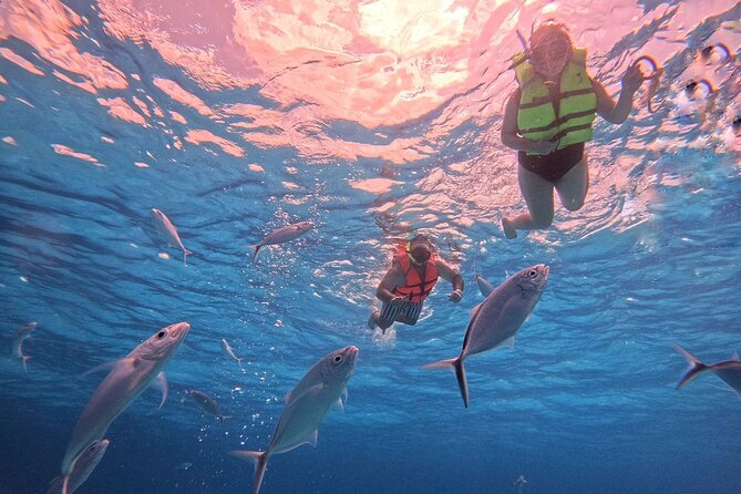 Cozumel: Snorkeling to El Cielo & Cielito with drinks & Snack - Palancar Reef: a first snorkel that works for beginners