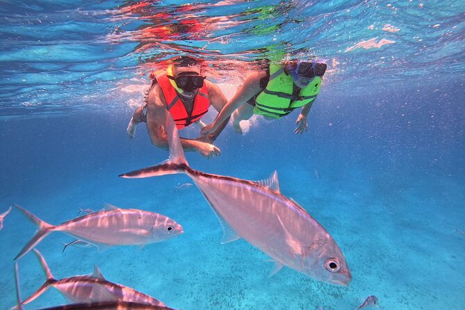 Cozumel: Snorkeling to El Cielo & Cielito with drinks & Snack - El Cielo: starfish, shallow water, and the photo-friendly sandbar