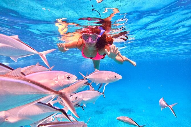 Cozumel: Snorkeling to El Cielo & Cielito with drinks & Snack - Food and drinks: guacamole, ceviche, fruit, and margaritas