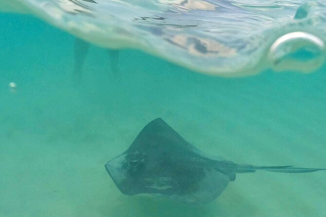 Cozumel: Snorkeling to El Cielo & Cielito with drinks & Snack - Where you start: Aqua Safari Pier and the real timing