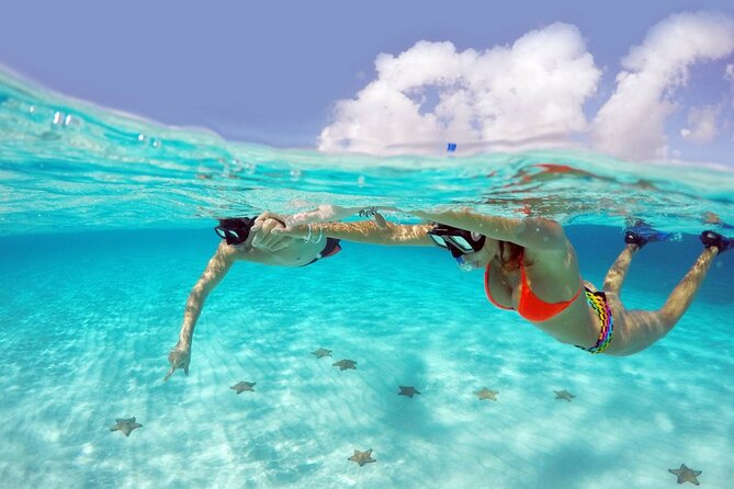 Cozumel Snorkeling Tour: Palancar, Columbia and El Cielo Reefs - Key Things I’d Pay Attention To Before You Go
