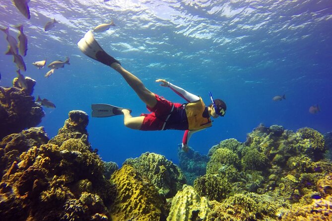 Cozumel Snorkeling Tour: Palancar, Columbia and El Cielo Reefs - Palancar Reef: Where Cozumel Shows Off