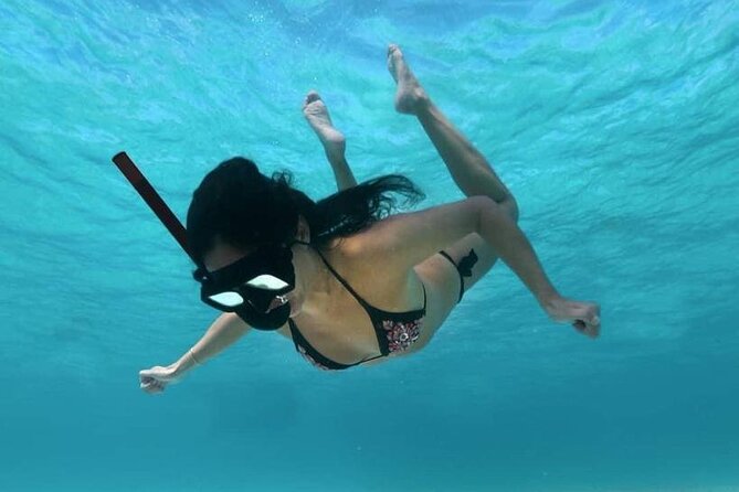 Cozumel Snorkeling Tour: Palancar, Columbia and El Cielo Reefs - Chankanaab: A Final Look Before You’re Back