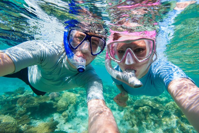 Cozumel Snorkeling Tour to Palancar Reef and El Cielo - Price and what you actually get for $71.65