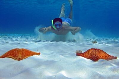Cozumel Snorkeling Tour to Palancar Reef and El Cielo - Meeting point and the 10:00 am rhythm