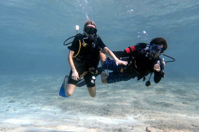 Cozumel underwater 2 Tank Dive by boat - First Underwater Stop: Parque Nacional Arrecifes de Cozumel and the Palancar Region