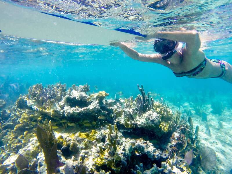 Cozumel: West Coast E-Bike and Snorkeling Tour - Mayan Botanical Garden: Culture That Fits the Day