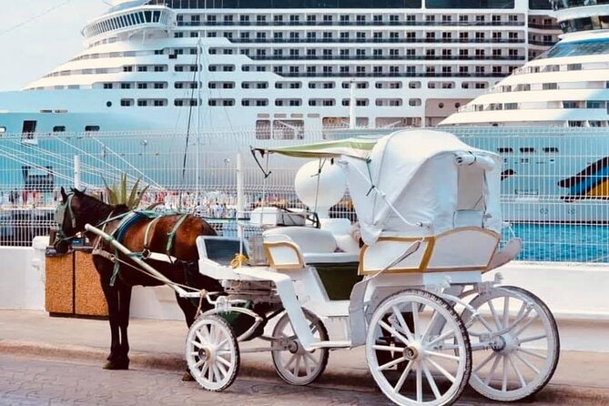 Cozumel's Heart Electric and Horse-drawn Carriage Tour - Comfort, Accessibility, and Who Should Bring What