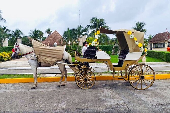 Cozumel's Heart Electric and Horse-drawn Carriage Tour - Value for Your Time: Parking Included, Food Not