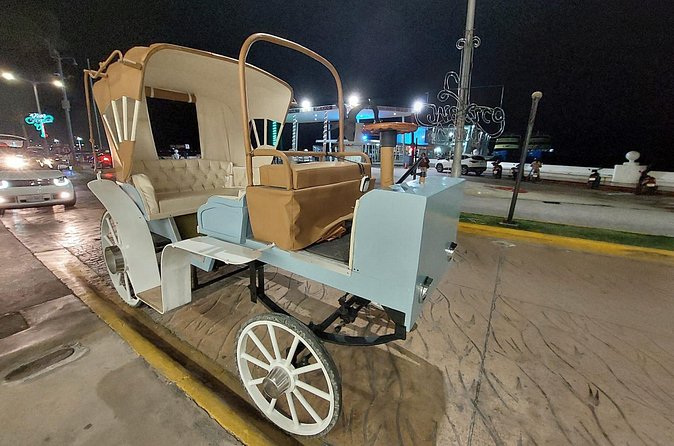 Cozumel's Heart Electric and Horse-drawn Carriage Tour - Language and What to Expect From the Driver