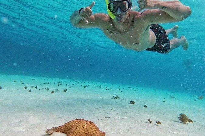 Cozumel's Reefs in El Cielo, Palancar and Columbia Guided Tour - El Cielo’s starfish sandbank and El Cielito Beach manta rays