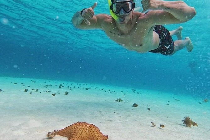 Cozumel's Reefs in El Cielo, Palancar and Columbia Guided Tour - Food and drinks on board: more than a snack break