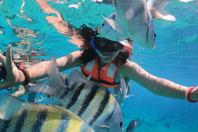 Crystal Boat Tour with Snorkeling and Drinks in Cozumel - A Clear Boat Over Cozumel’s Reef Water