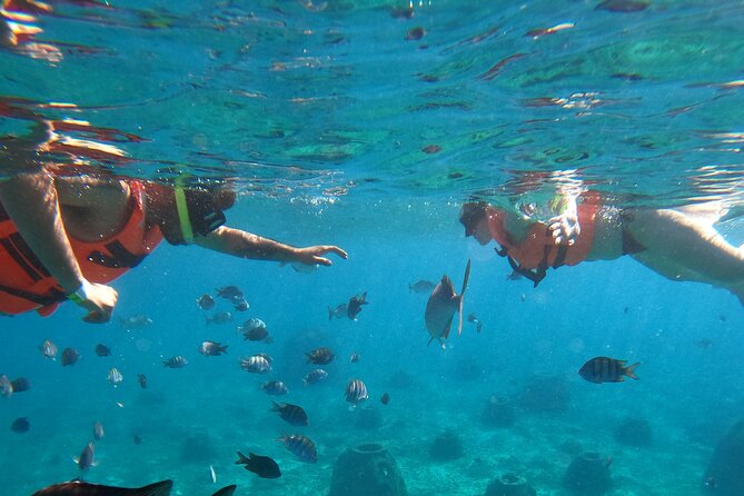 Crystal Boat Tour with Snorkeling and Drinks in Cozumel - Price and Value at About $47.61