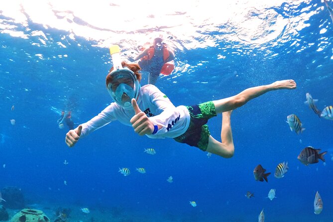Crystal Boat Tour with Snorkeling and Drinks in Cozumel - Who This Cozumel Tour Fits Best