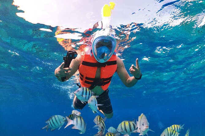 Crystal Boat Tour with Snorkeling and Drinks in Cozumel - Should You Book This Crystal Boat Tour with Snorkeling?