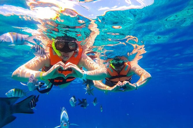 Crystal Boat Trip and Snorkeling Tour from Cozumel - Stop 1 off Cozumel: seeing sunken ships through the glass
