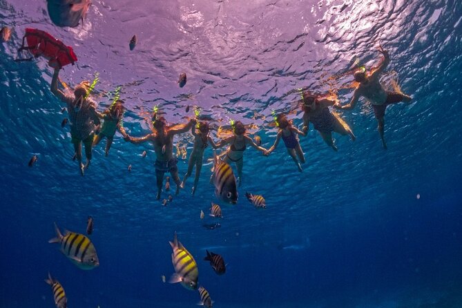 Crystal Boat Trip and Snorkeling Tour from Cozumel - Transparent boat value: why this format works in Cozumel