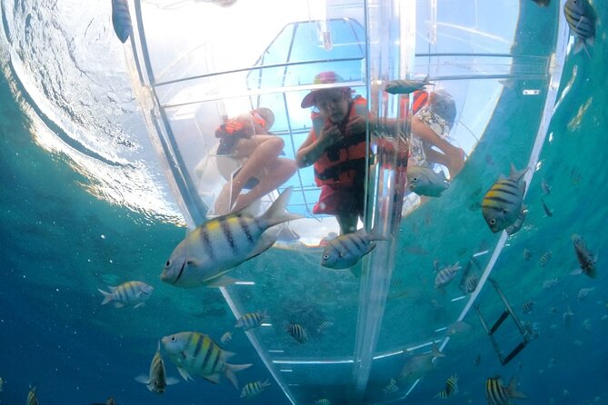 Discover Cozumel in a Transparent Boat! - Key Highlights You’ll Actually Feel