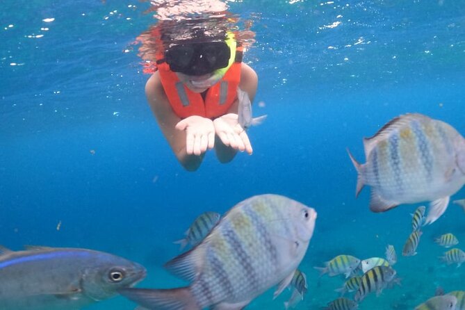 Discover Cozumel in a Transparent Boat! - The Snorkel Stop at Legos Reef: Short, Guided, and Gear Included