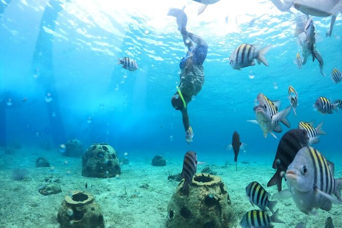 Discover Cozumel in a Transparent Boat! - Boarding Reality Check: The 4–5 Foot Jump Concern